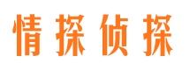 扬中市调查公司